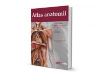 Atlas anatomii